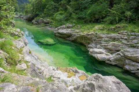 Emerald green river Pozze Smeraldine, Tramonti di Sopra, Province of Pordenone, Italy, Europe