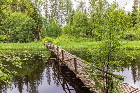 Wooden footbridge built by tree sticks over a river with a man sitting on a bench in a lush green