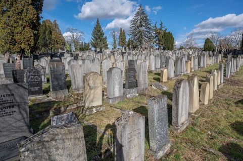 Old graves at the Israeli cemetery, inaugurated in 1882, Werner-von Siemens Str. 2, Würzburg, Lower