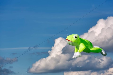 Kite flying in the sky, frog, kite festival in Vinsebeck, Cumulus, copy space, Steinheim,