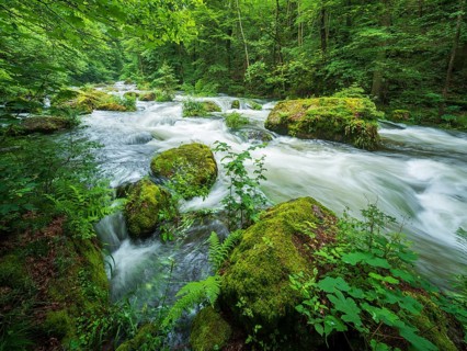 White water and rapids on the Trieb stream in the Triebtal nature reserve in Vogtland, Plauen,