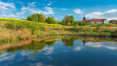 The small village of Teichwitz with half-timbered house, village church and blooming rape field