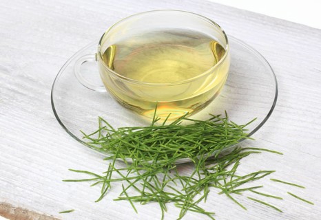 Medicinal plant, Equisetum arvense, the field horsetail or horsetail