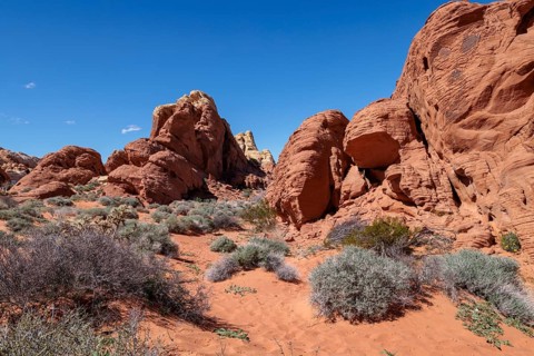 Rock formations along the Fire Canyon Overlook Trail at Valley of Fire State Park near Overton,