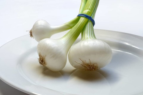 Onion, spring onions on a plate