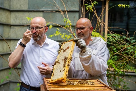 Jens Ardelt and State Secretary Thomas Kralinski hiving a beehive. Since the beginning of 2023,