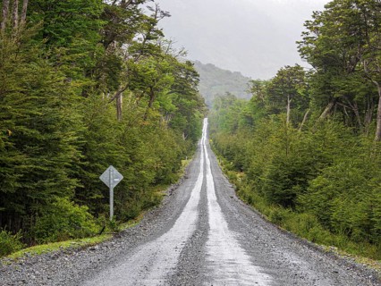 Road Carretera Austral passing cold rain forest near Villa o' Higgins, Patagonia, Chile, South