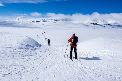 National day 17th May, Norwegians hike on ski, carrying norwegian flags, hike from Finse, highest