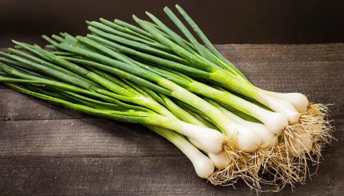 Vegetable, spring onion or spring onion, also known as winter onion, Allium fistulosum