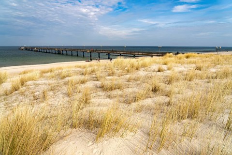 Dunes on the Baltic Sea beach and the pier at Graal-Müritz, Mecklenburg-Vorpommern, Germany, Europe