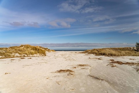 The Baltic Sea beach near Prerow, Mecklenburg-Western Pomerania, Germany, Europe