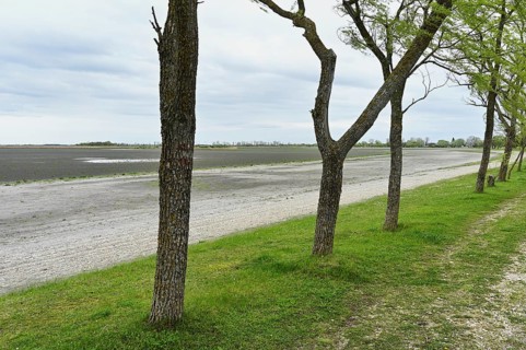 Very dry Zicksee, Lake Neusiedl National Park, Seewinkel, Burgenland, Austria, Europe