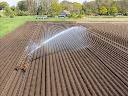 Artificial irrigation of a potato field in April, with a sprinkler system, long drought in spring