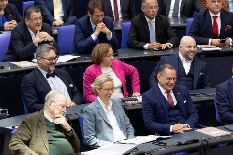 Berlin, Germany - 25 March 2025: Members of the AfD (Alternative for Germany) parliamentary group,