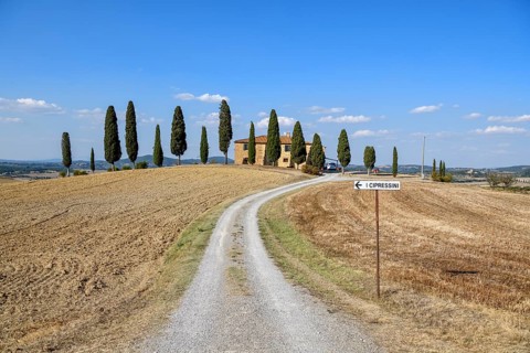 Cypresses in front of a country house, near Pienza, Val d'Orcia, Orcia Valley, Tuscany, Italy,