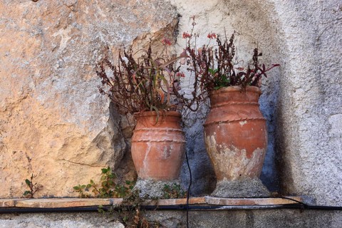 Two clay pots with withered plants standing in a niche in the wall, Sicily, Italy, Europe