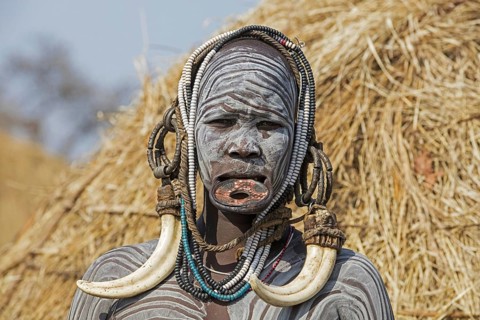 Painted woman of the Mursi tribe wearing lip plate and huge tusks earrings in the Mago National