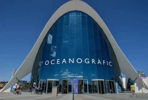 L'Oceanogràfic, Oceanarium, Ozeaneum, City of Arts and Sciences, Valencia, Spain, Europe