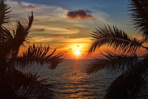 Beach vacation romantic holidays background, ocean sunset visible through palm leaves. Varkala,