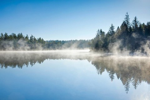 Pines and spruces line the shore of the mirror-smooth Étang de la Gruère moorland lake covered in