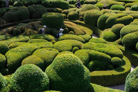 Boxwood garden, Les Jardins de Marqueyssac, Vezac, Dordogne, Périgord, Département Dordogne, Region