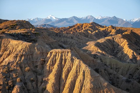 Landscape of eroded hills at sunrise, badlands, white mountain peaks of the Tian Shan Mountains in
