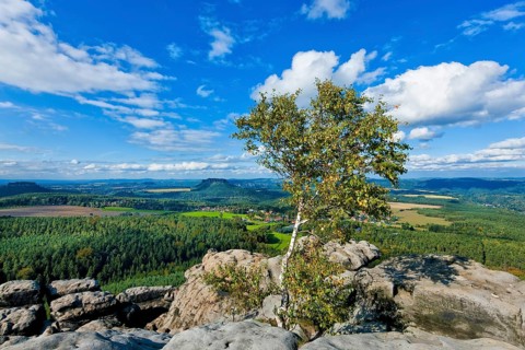 View from Gohrisch in Saxon Switzerland
