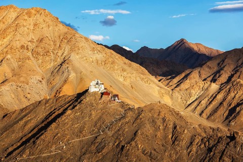 Namgyal Tsemo gompa (Tibetan Buddhist monastery) and ruins of Namgyal Tsemo fort. Leh, Ladakh,