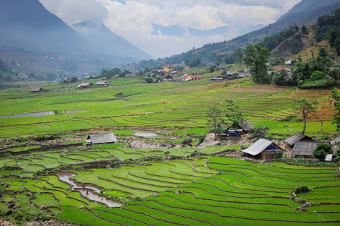 Farm shed in rice field terraces. Near Sapa, Vietnam, Asia