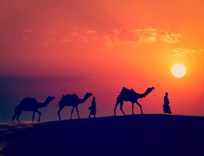 Vintage retro effect filtered hipster style image of Rajasthan travel, two indian cameleers camel