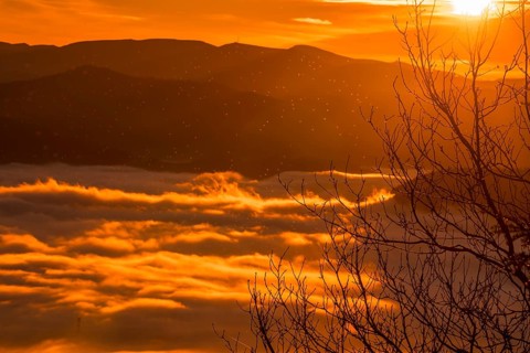 Dawn with a dense orange fog on a winter morning in Agina, Navarra. Basque Country