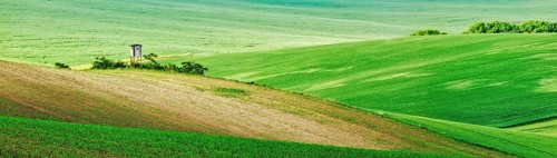Panorama of Moravian rolling landscape with hunting tower shack on sunset. Moravia, Czech Republic,