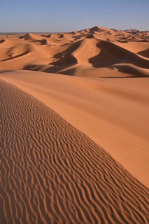 Dunes in the morning light, Great Sand Sea, Merzouga, Meknès-Tafilalet region, Morocco, Africa
