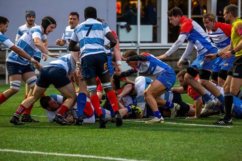 Rugby 1st Bundesliga South/West, season 2024/25, matchday 7 (catch-up match) : Heidelberger