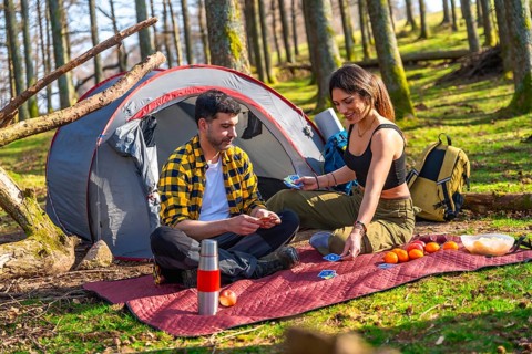 Hikers playing cards near their tent in the forest, enjoying a camping trip with fruits and snacks