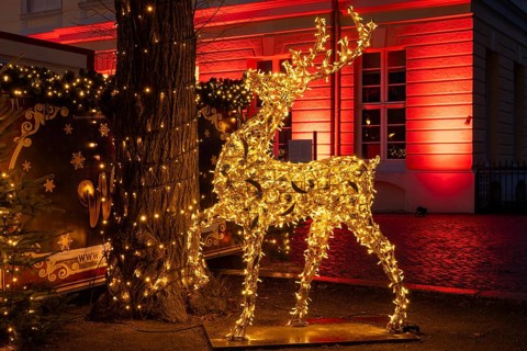 Reindeer with lights, figure, decoration, Christmas market at Charlottenburg Palace, blue hour,