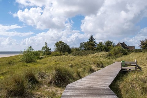 Boardwalk in the dunes between Nieblum and Greveling, North Sea island of Föhr, Schleswig-Holstein,