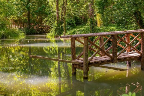 Wooden bridges at the Lake of the Ducks in the Natural Park of the Monastery of Piedra, Aragon,