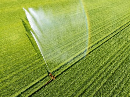 Artificial irrigation of a cereal field in April, with a sprinkler system, long dry spell in spring
