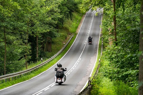Country road through a forest, near Hofgeismar, in Hesse, Germany, Europe