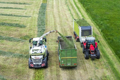 Hay harvest, on a Rhine meadow near Duisburg-Beeckerwerth, a forage harvester picks up the cut