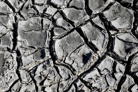The bottom of a dried-up fish pond in Reckahn in Brandenburg looks like parched desert soil. The