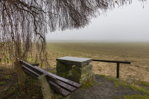 Foggy field path near Rathewalde in Saxon Switzerland, Rathewalde, Saxony, Germany, Europe