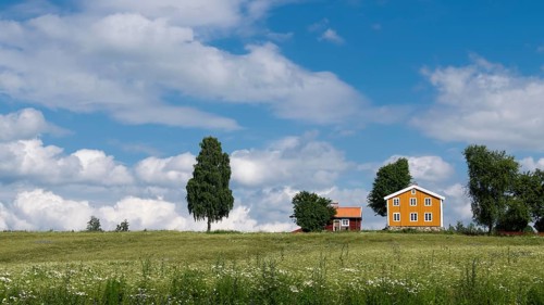 Falun red and Swedish yellow wooden house, trees, meadow, blue sky, clouds, at Lake Mjosa near