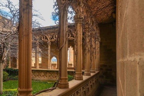 Vines creeping up the columns of a gallery in the royal palace of olite, framing the view of the
