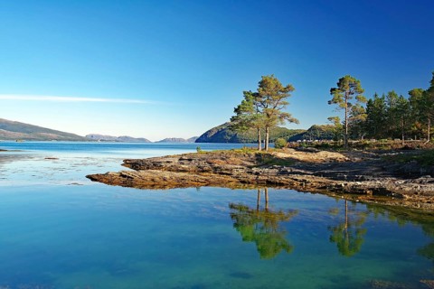 Trees, pines reflected in the crystal clear water of a shallow bay, late summer, Kjelleidet, FV 17,