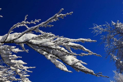 Winter landscape in the Fichtelgebirge, Bayreuth district, Upper Franconia, Bavaria, Germany,