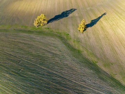 Cultivated fields in winter in the Campiña Cordobesa, the fertile rural area south of the town of