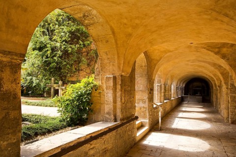 Cloister with view of the Thousand-Year Rosebush in the cemetery of St. Mary's Cathedral,