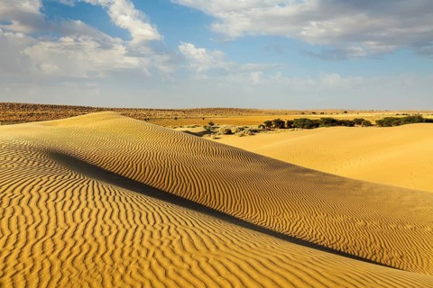 Dunes of Thar Desert. Sam Sand dunes, Rajasthan, India, Asia